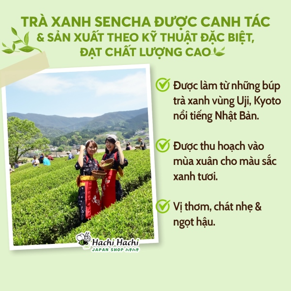 Tra-xanh-sencha-yanoen-120g-(1).jpg